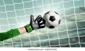 CBA常规赛：南京头排苏酒队主场战胜福建晋江文旅队