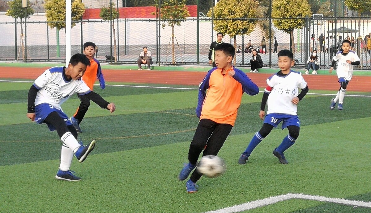 职业化改革 职业化改革