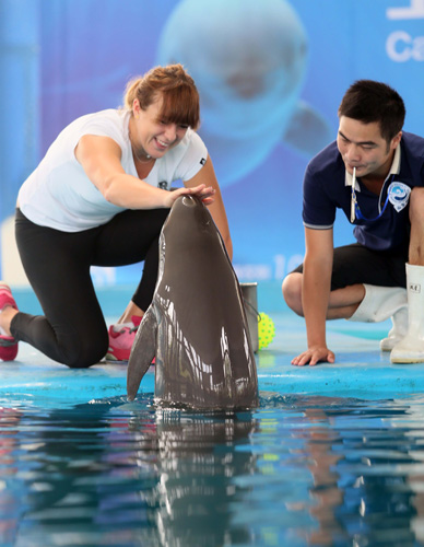 在足球世界 在足球世界