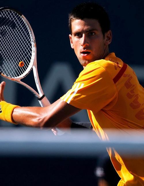 与法国防守 与法国防守